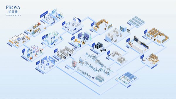 全流程智能化引領行業未來 珀萊雅股份湖州分公司獲評2023年浙江省技術開發榮譽